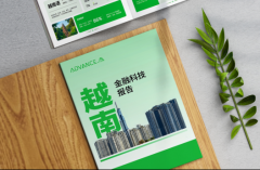预见 2026：越南金融科技四大核心趋势与 AI 时代的反欺诈攻防